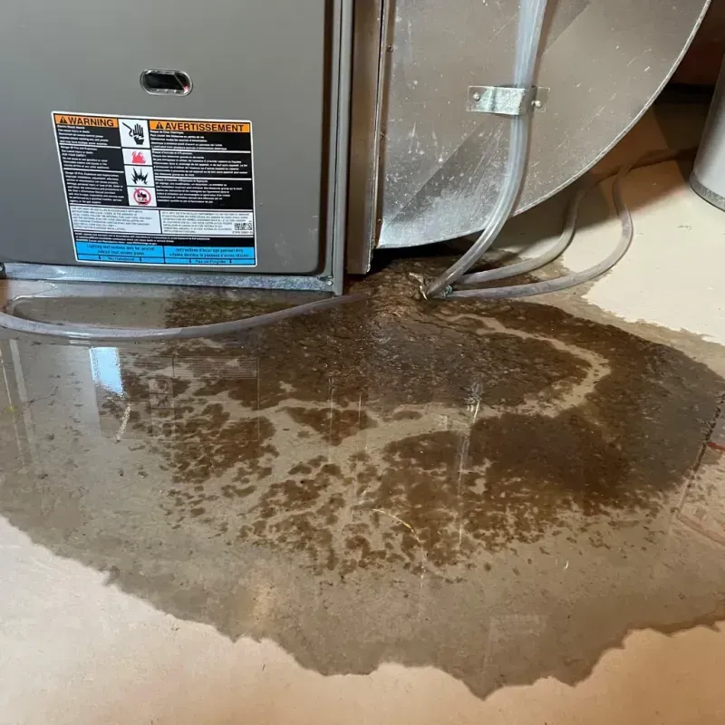 Appliance Leak Cleanup in Calhoun County, IA